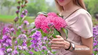 Medicine Frequency| Nervous System Reset #saanaslight #MedicineFrequency #Meditation #Anxiety#stress