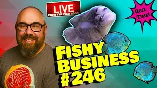 Friday Night Live! -  Fishy Business #246