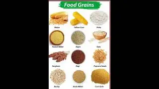 Food grains name in English#shortviral #youtubeshorts