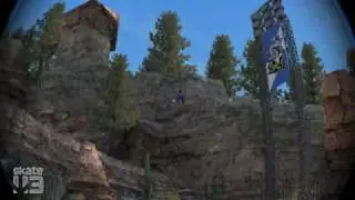 Skate 3- I'm the human Sonic!