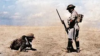 Wojna na Pustyni: Rzadkie Kolorowe Nagrania z Afryki Północnej (1941–43)