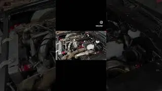 Finally got this Twin Turbo, T-56, Ls Swapped Second Gen Trans Am together. And it sounds amazing!