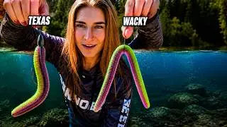 Как оснастить червяка для начинающих | Texas Rig и Wacky Rig: объяснение