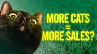 How a Cat Saved Our Dying Facebook Ad Campaign (True Story)  | Radical Marketing