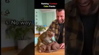 ranking funniest cake pranks part 5