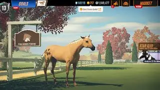 RIVAL STARS HORSE RACING: horse breeding 4 times. Part 1.