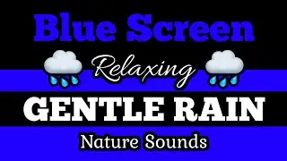 🟦BLUE SCREEN 🌧️GENTLE RAIN 🌲Soothing Nature Sounds