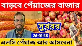 26/01/26.আজকের বাজারে পেঁয়াজের পাইকারি দাম ঢাকা শ্যামবাজার | Today onion rate today 