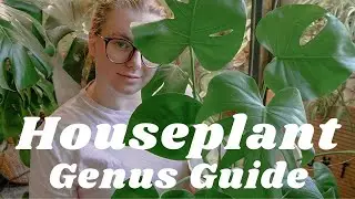 50 Common & Wishlist Houseplants You Need To Know About