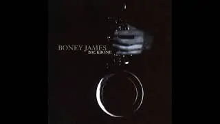 Boney James - The Night I Fell In Love -1994