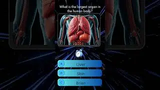 quizze human body answer #quiz #science #facts #chemistry #games #biology #trivia #knowledge