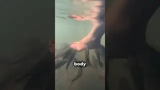 Fish Treatment 😨