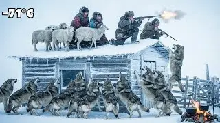 Surviving &ndash;71&deg;C in Yakutia  How an 80 Year Old Couple Fought Off a Pack of Wolves