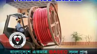 Paradise Cables TV Commercial 2.mpg