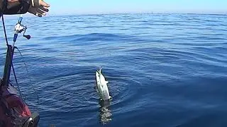 Trolling and Slow Jigging - Kayak Fishing - 1080HD 60fps
