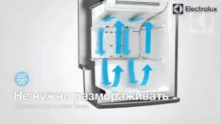 Холодильник EN 93852 KX