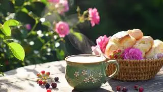 Good Morning Jazz December Bossa Nova Instrumental and Relaxing Jazz Cafe Music for Studying.