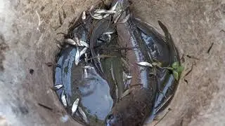 Wow cute girl  fishing