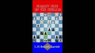 The Gambit Side of the Sicilian Defense. #Shorts