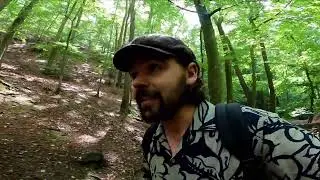 Wandelen langs de enige bergrivier van Belgi&euml; | Ninglinspo