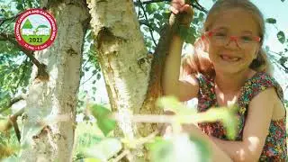 Gemma Hunt's Treasure Hunt