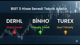 DERHL, BINHO, TUREX hisse analiz | Y&uuml;kseliş mi, D&uuml;ş&uuml;ş m&uuml;?
