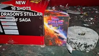 NEW!  16 Shots Dragon's Stellar of Saga by Dragon Fireworks - Salubong Bagong Taon 2025