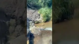 MAHMIE RIVER IN KINGSTON &ST ANDREW, JAMAICA