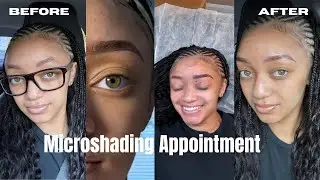 I Got My Eyebrows Microshaded!! | Beauty Maintenance