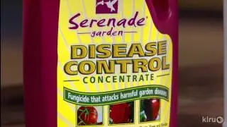 Prevent fruit tree insects and disease|John Dromgoole|Central Texas Gardener
