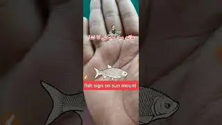 fish sign on sun mount #palmistry #palmist #shorts