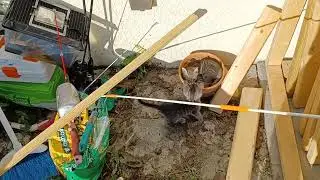 Teekl and Ballerina playing outside