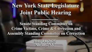 New York State Legislature  Joint Public Hearing - 05/14/2025