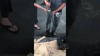 tikus masuk dalam celana 🤣