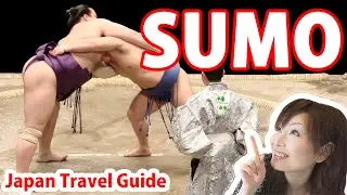Japan Guide: SUMO: 4 Things You Should Know about SUMO Wrestling : Japan Travel Guide