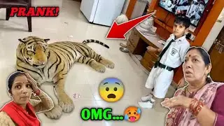 Fake Tiger Prank On Kunali & Oreo 🤣😅 #souravjoshivlogs #facts #vlog @souravjvlogs 