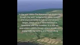 RAF St Davids, Pembrokeshire.