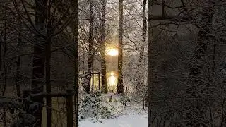 Heißhunger Attacken verstehen und loslassen kurze Meditation | Hypnose Ohne Musik 