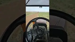 Yuma Arizona Agriculture