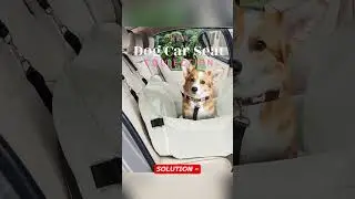 Versatile Dog Car Seat!!!