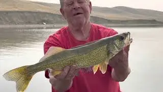 Lake Mcgregor Part 2 (fish upgrade)