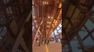 The Grand Ring #Expo2025 #Osaka #Japan #Architecture #Wood #Design #Future #Innovation #Skywalk