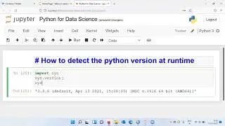 How to detect the python version at runtime?