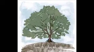 Acoustic Soundscape - Under the willow tree