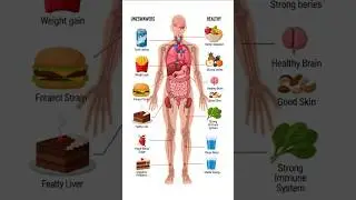 This Is Your Body on Junk Food vs Healthy Food #junk_food #straching #doctor #motivation #greenscree