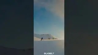 Секретный спот для фрирайда и скитура!