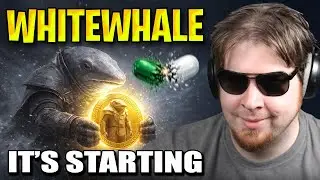 Мем-монета WhiteWhale демонстрирует раннюю активность, заслуживающую внимания.