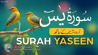 Surah Yaseen with Urdu Translation full | Yasin ki tilawat tarjuma ke sath | Urdu Tarjuma | Ep 599