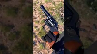 Smith & Wesson Model 10-6