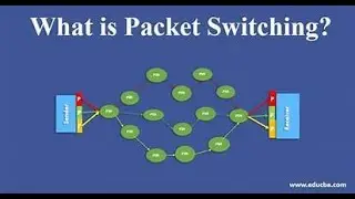 Data packet and packet switching